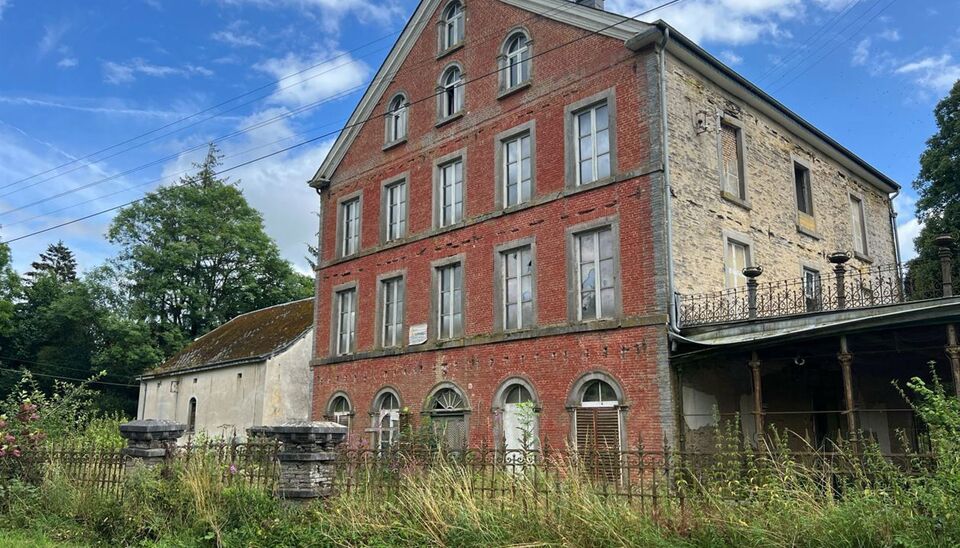 Kasteel te koop in Vaux-sur-S&ucirc;re